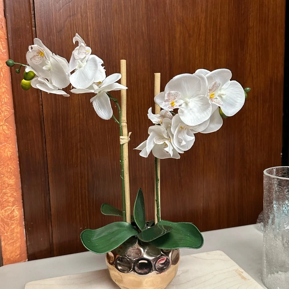 Orchid with pot modernist style